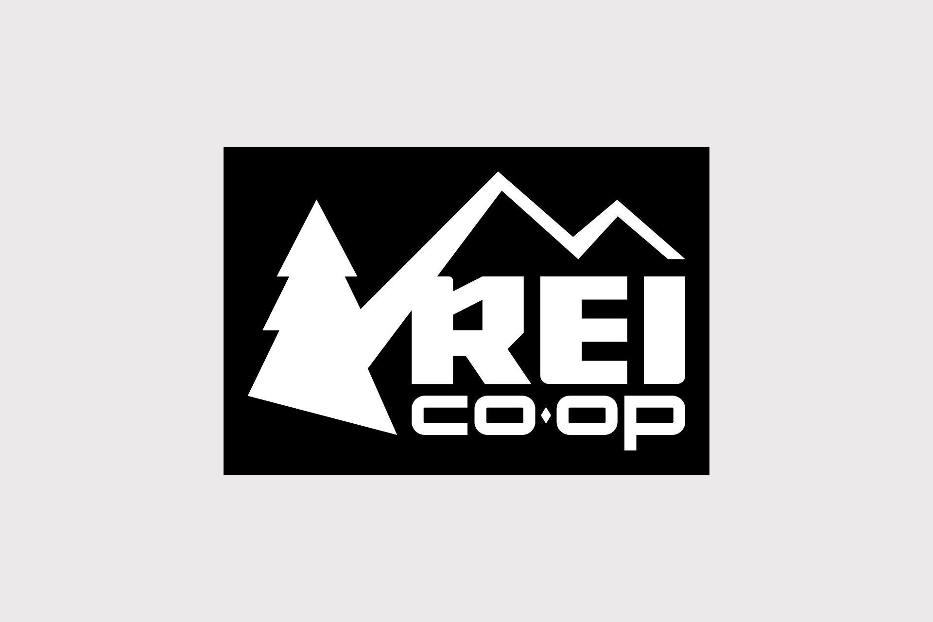 REI Madison Store